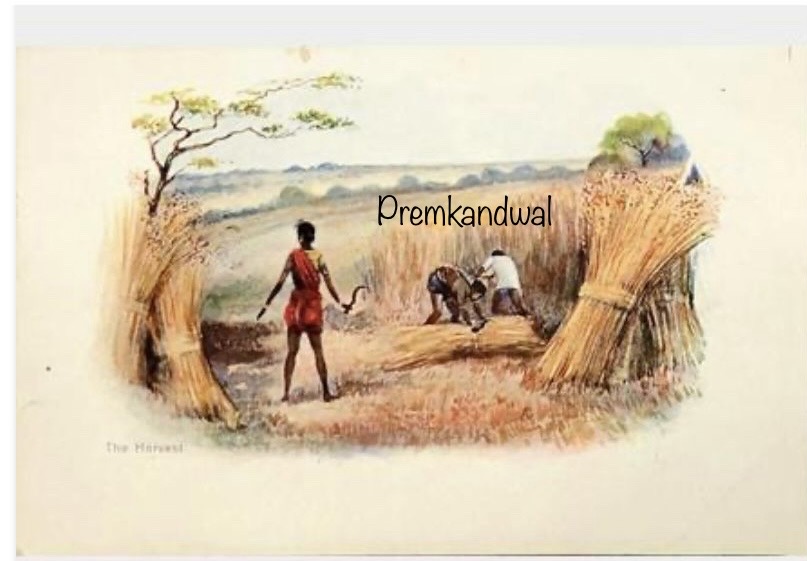 https://amarpremlithos.com/public/gallary/202508090308IMG_1300.jpeg